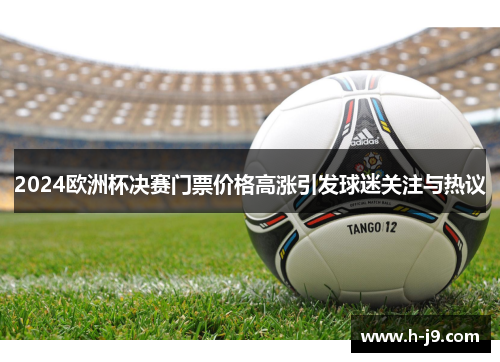 2024欧洲杯决赛门票价格高涨引发球迷关注与热议